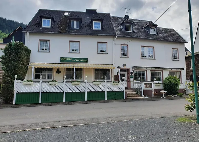 Gaestehaus Zum Weinberg Hotel