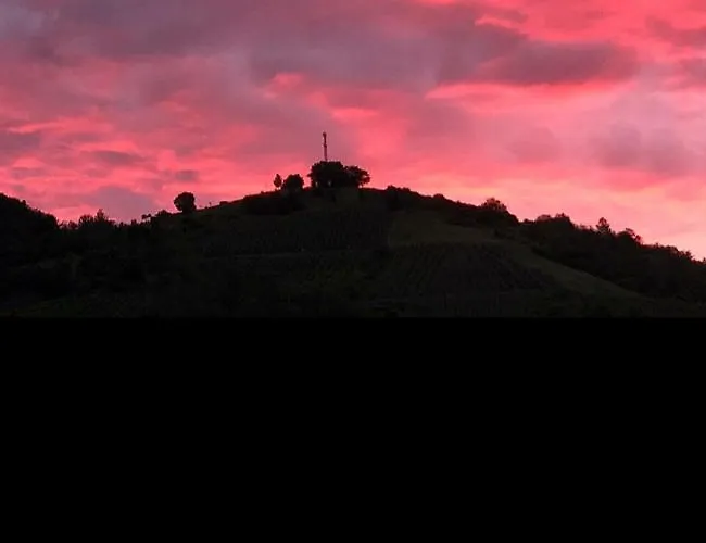 Hotel Gaestehaus Zum Weinberg *